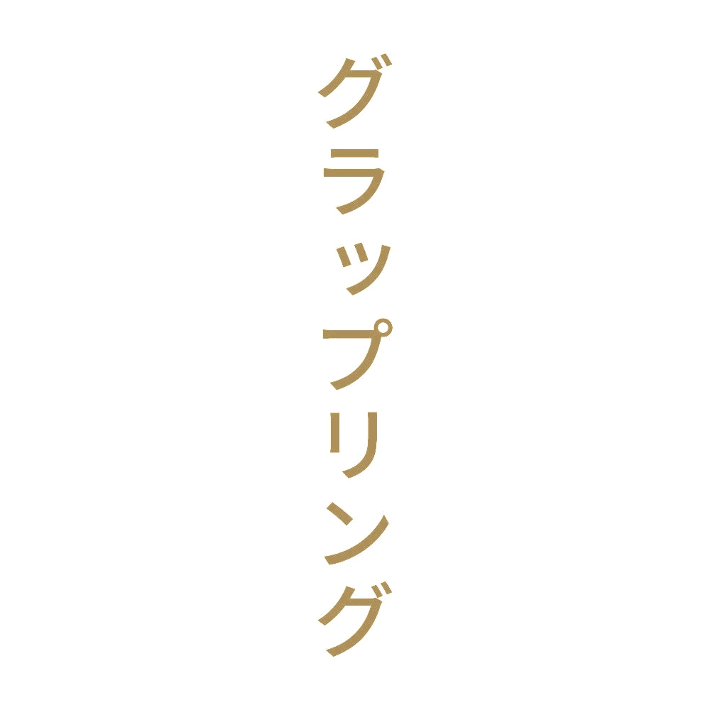 グラップリング 縦
