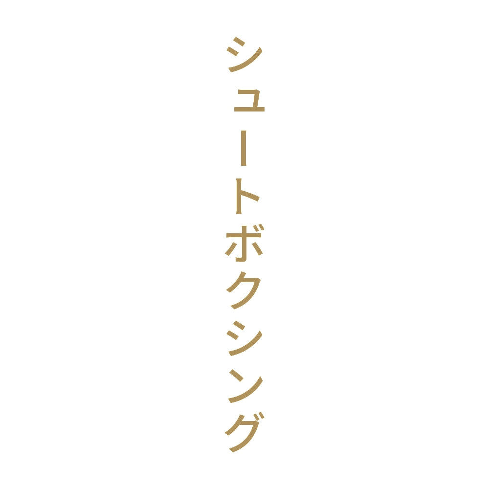 シュートボクシング 縦