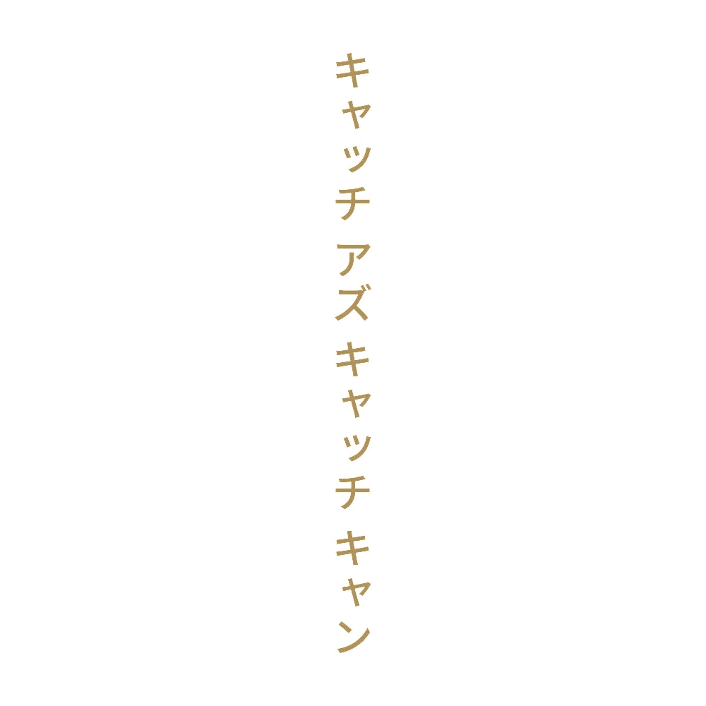 キャッチ アズ キャッチ キャン 縦