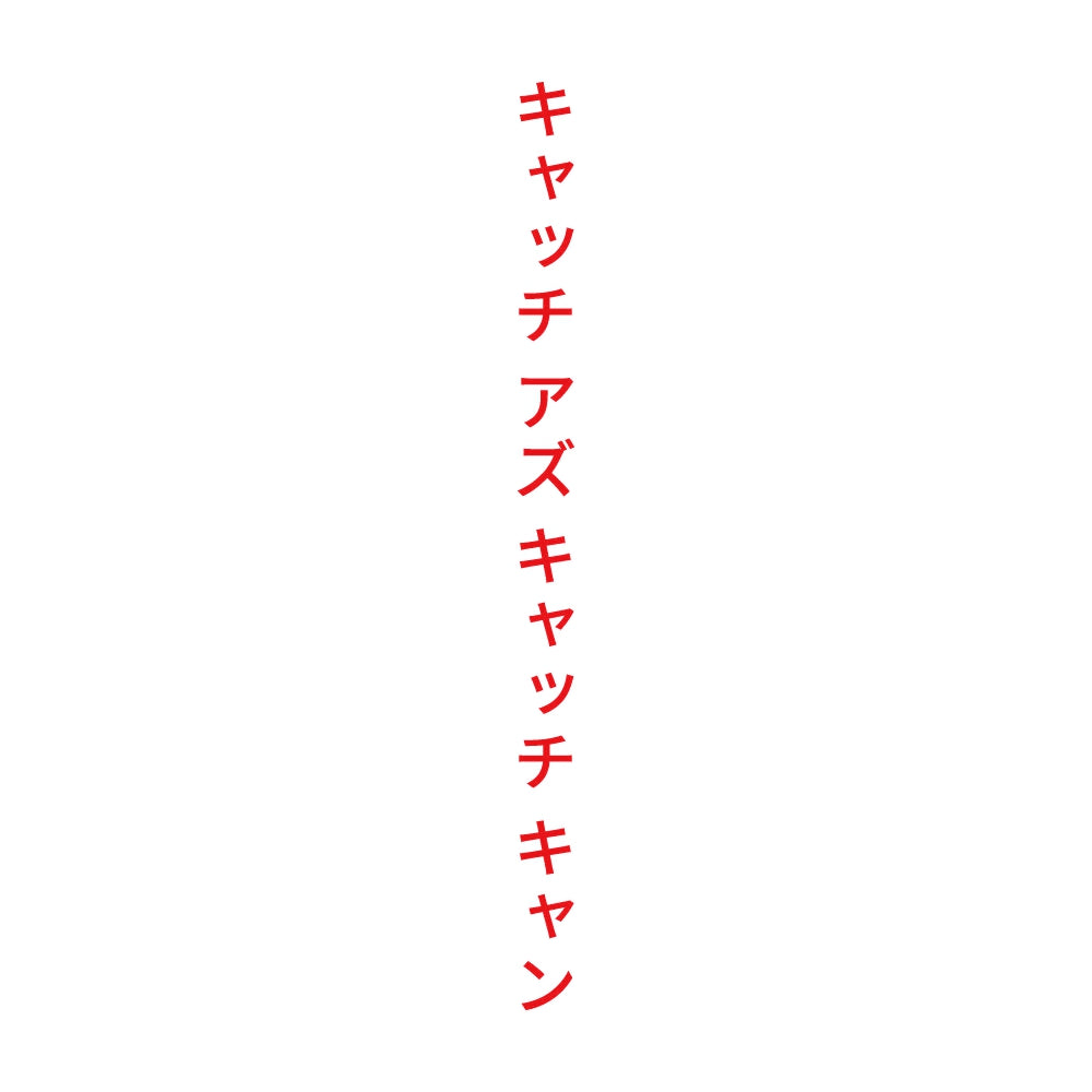 キャッチ アズ キャッチ キャン 縦