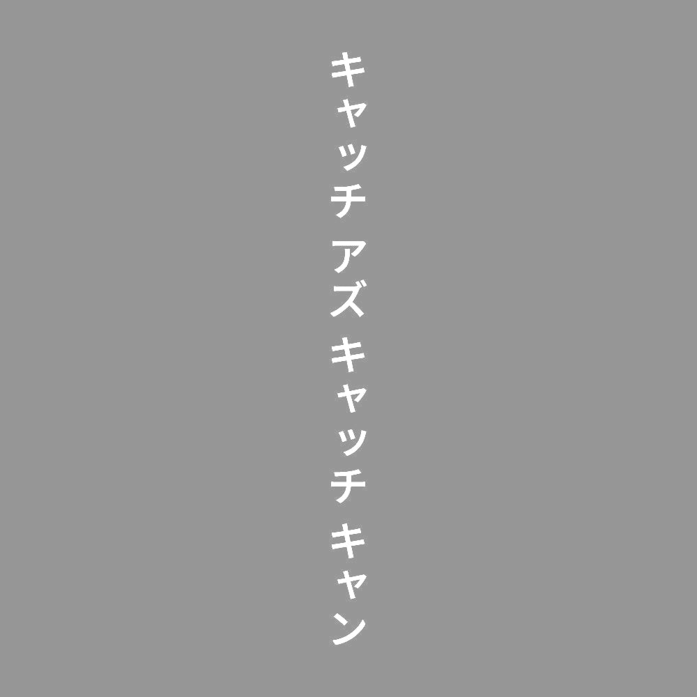 キャッチ アズ キャッチ キャン 縦