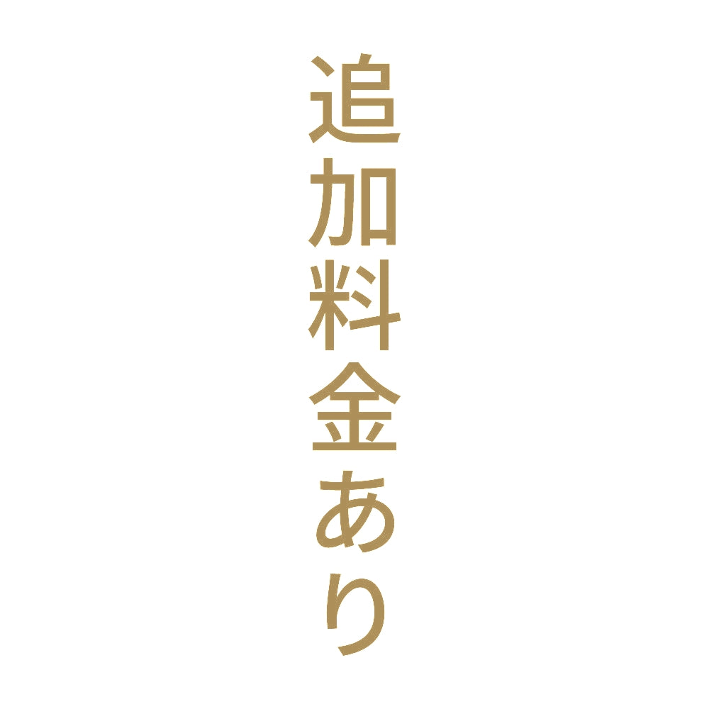 追加料金あり 縦