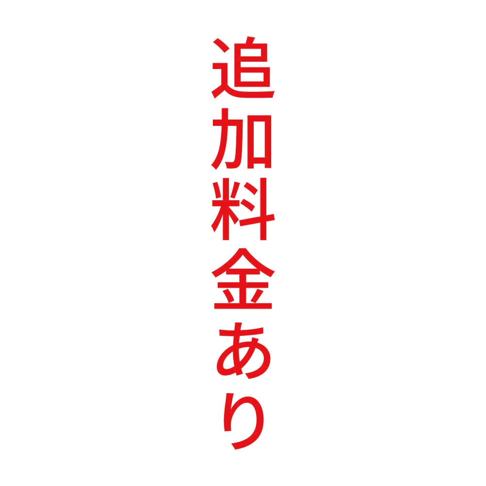 追加料金あり 縦