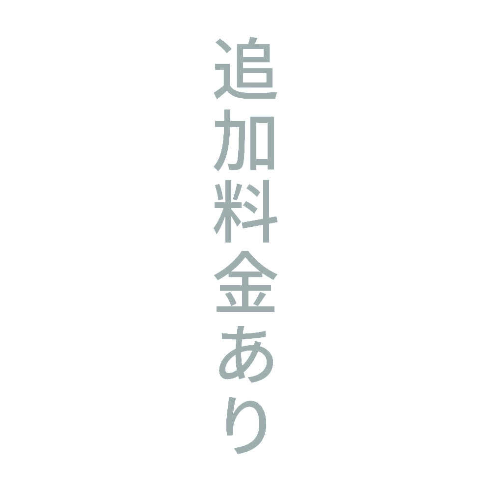 追加料金あり 縦
