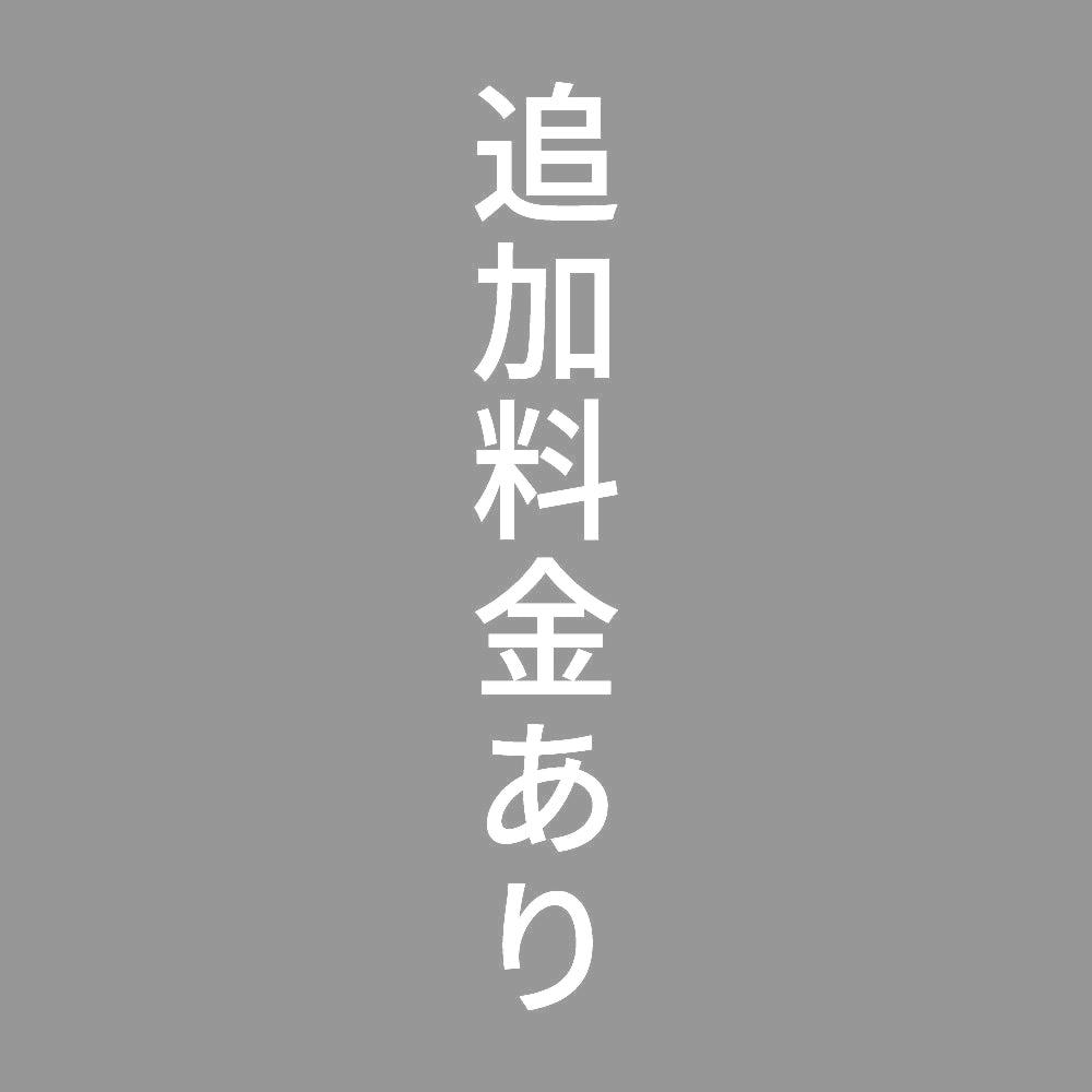 追加料金あり 縦