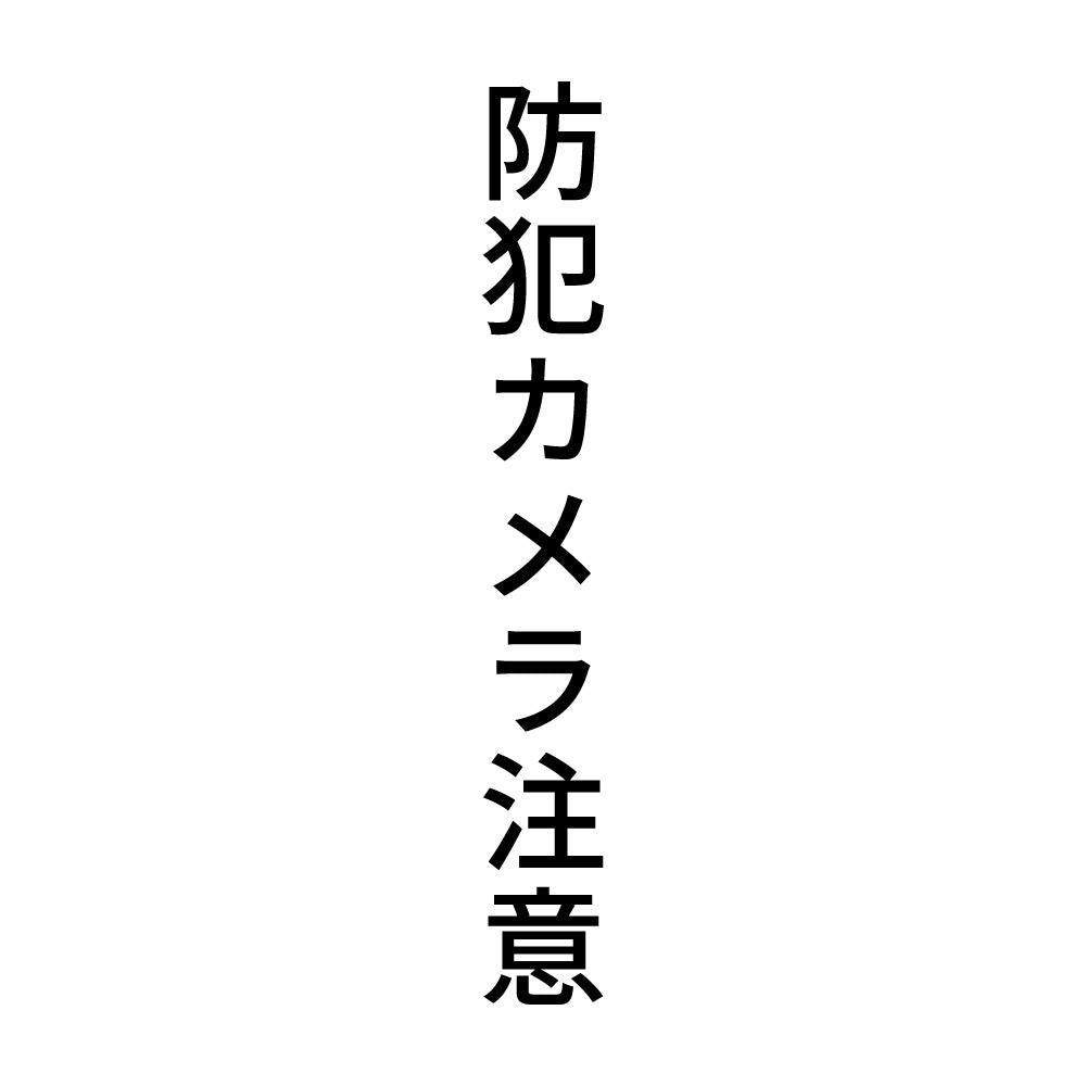 防犯カメラ注意 縦