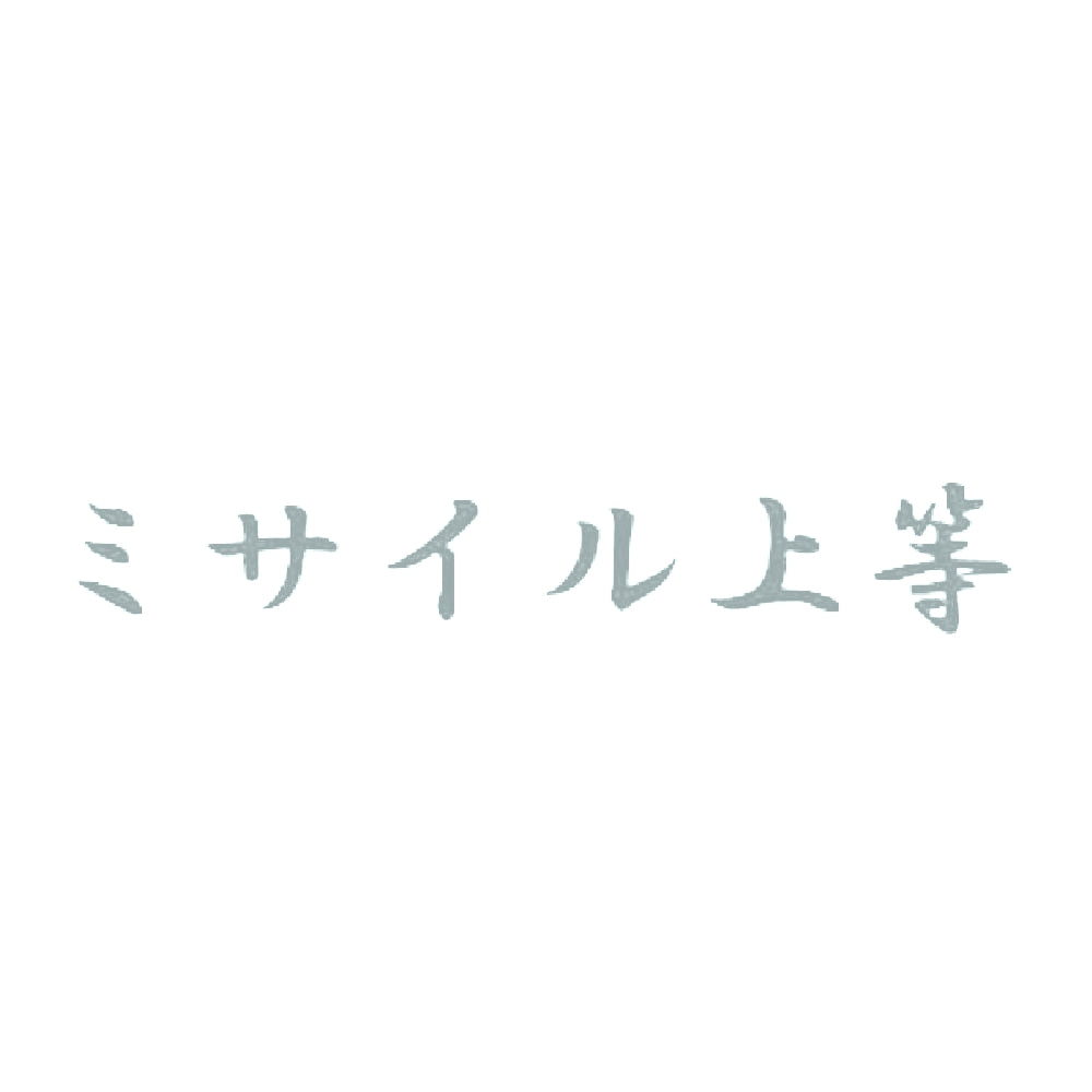 ミサイル上等 10