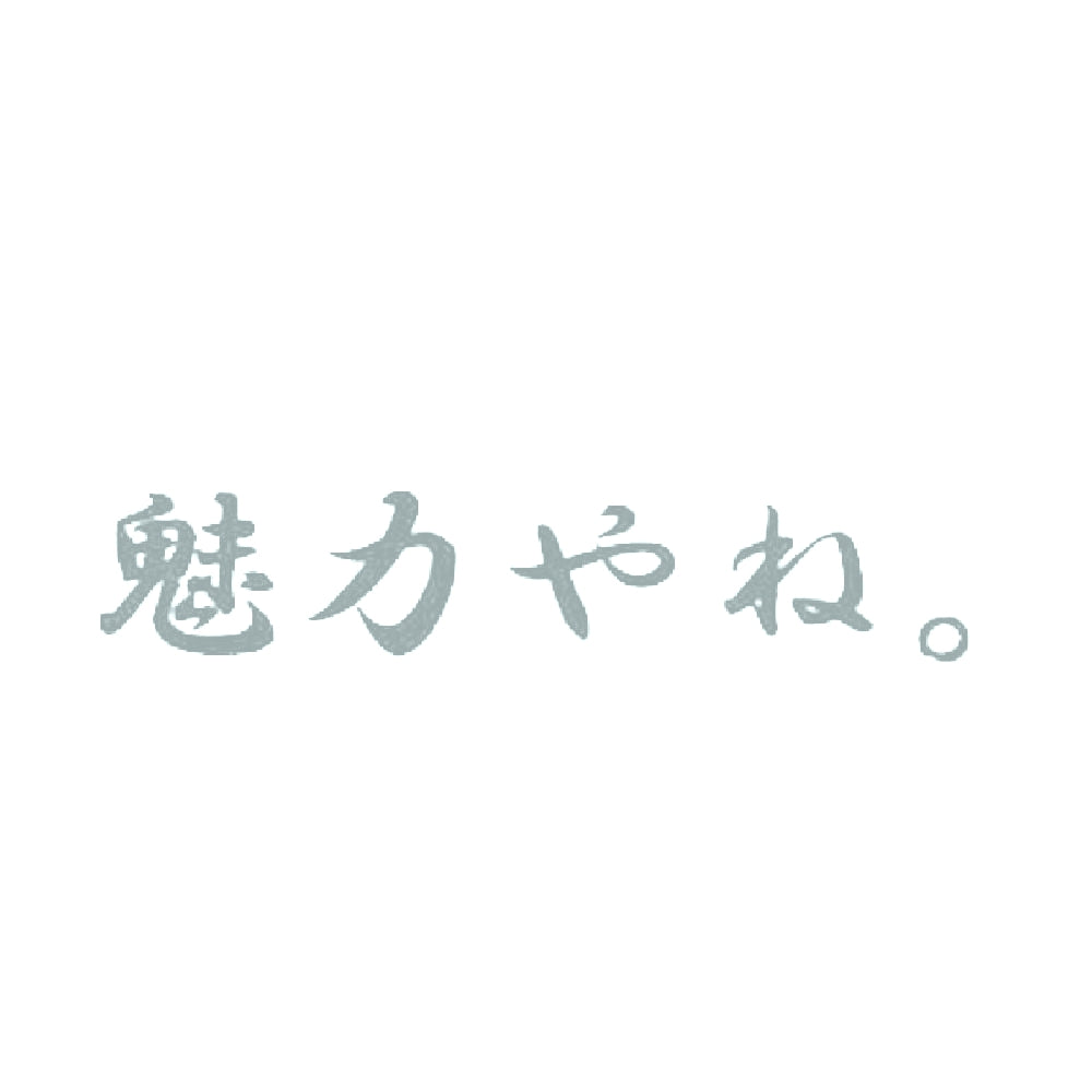 魅力やね 10