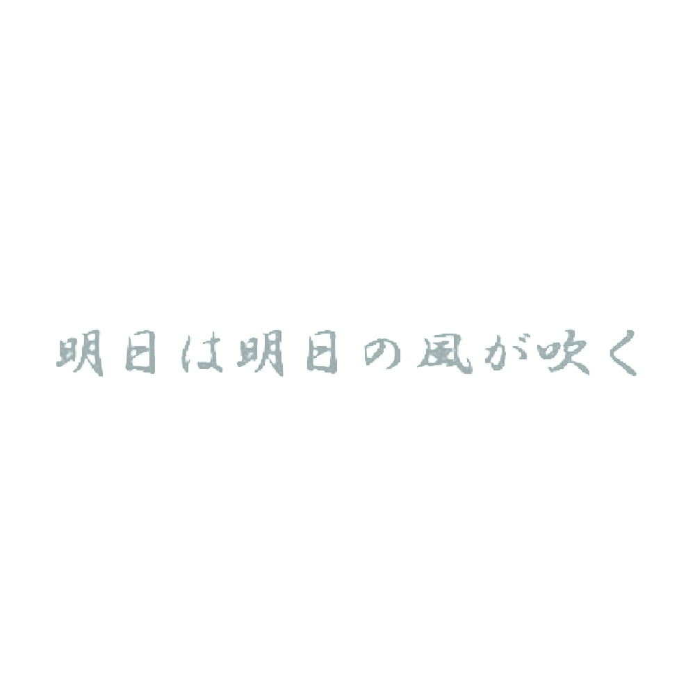 明日は明日の風が吹く 10