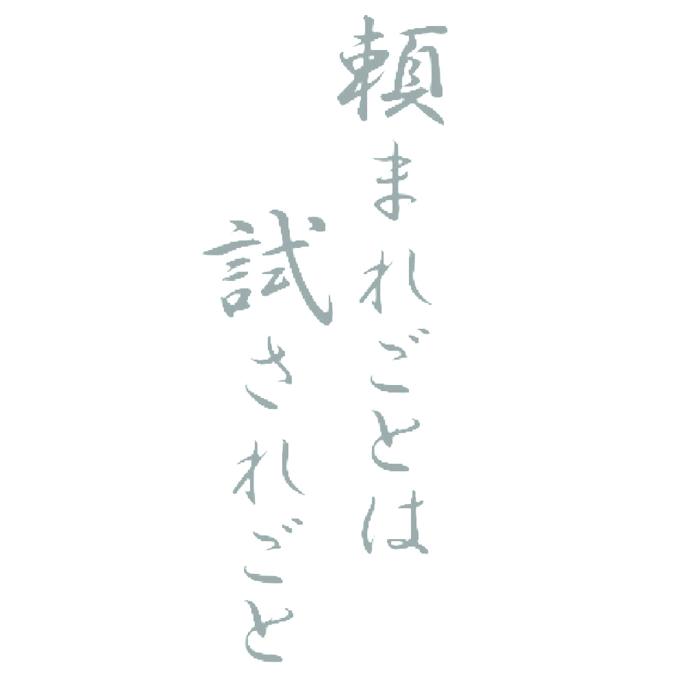 頼まれごとは試されごと 10