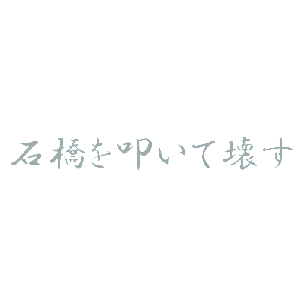 石橋を叩いて壊す 10