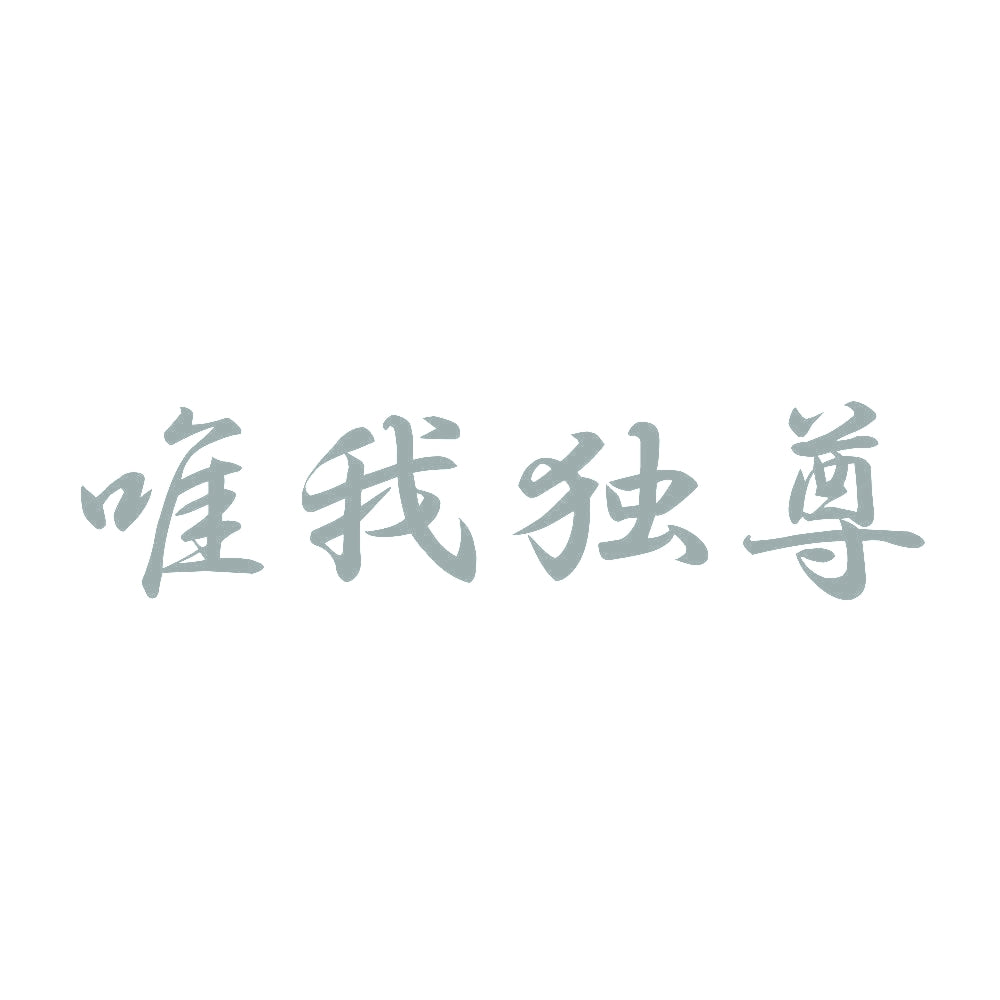 唯我独尊 10