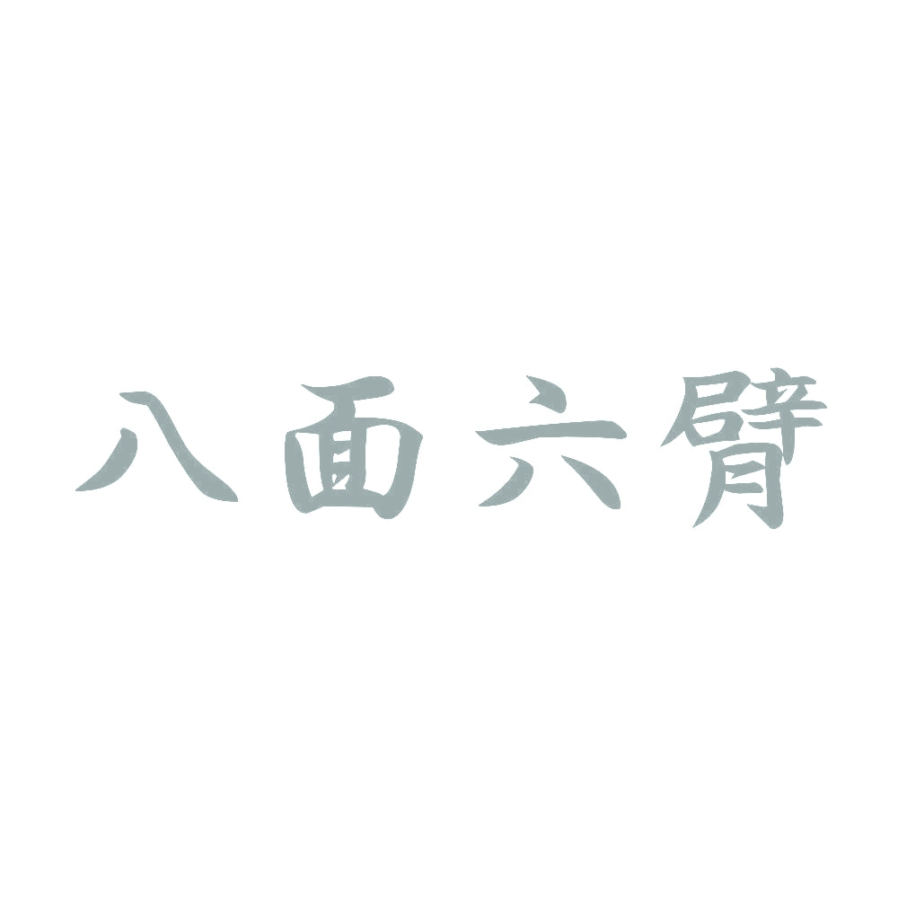 八面六臂 10