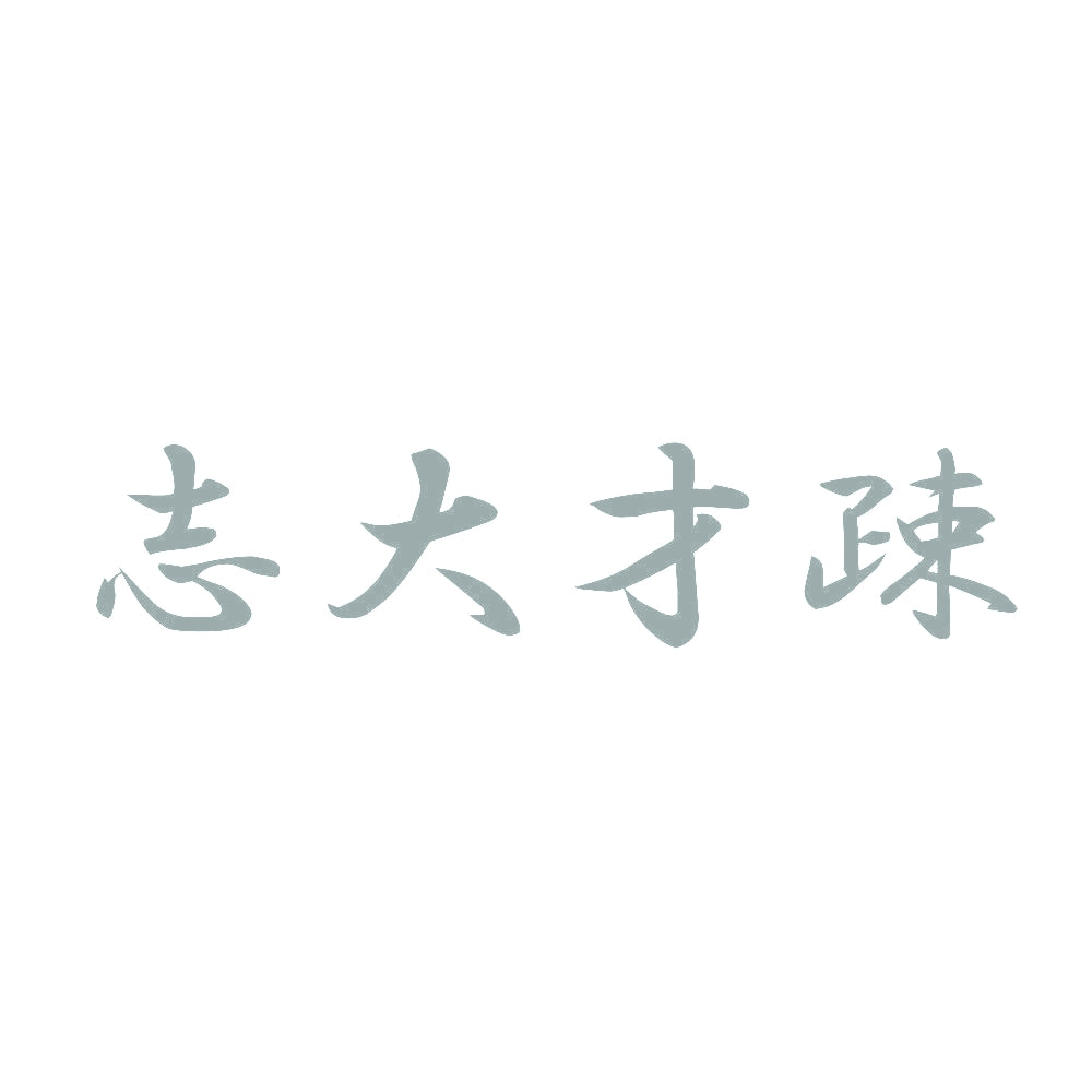 志大才疎 10