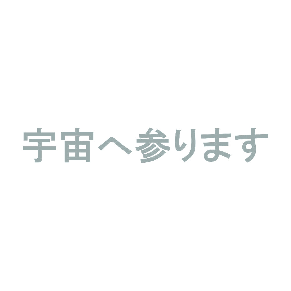 宇宙へ参ります 10