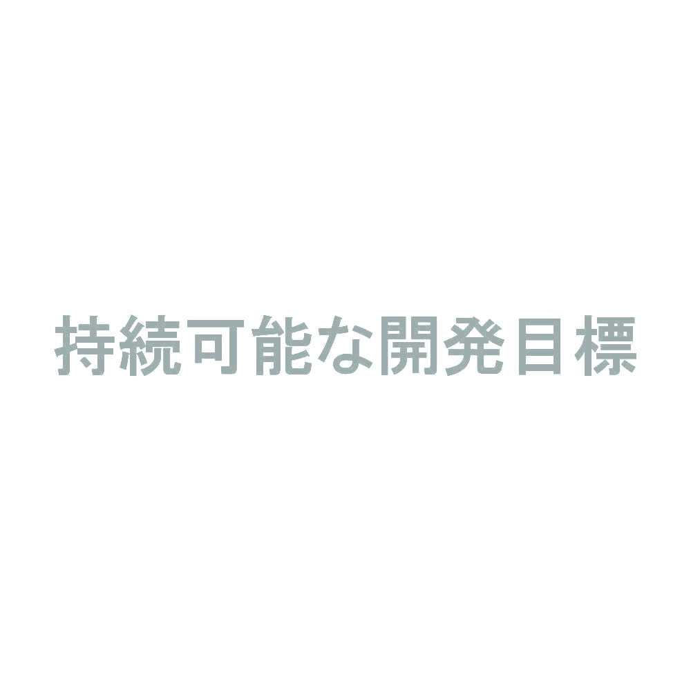 持続可能な開発目標 10