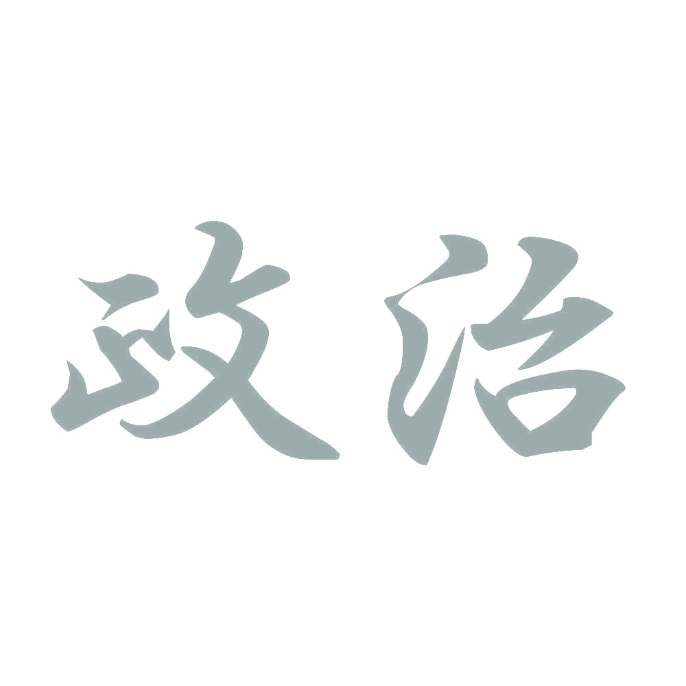 政治 10