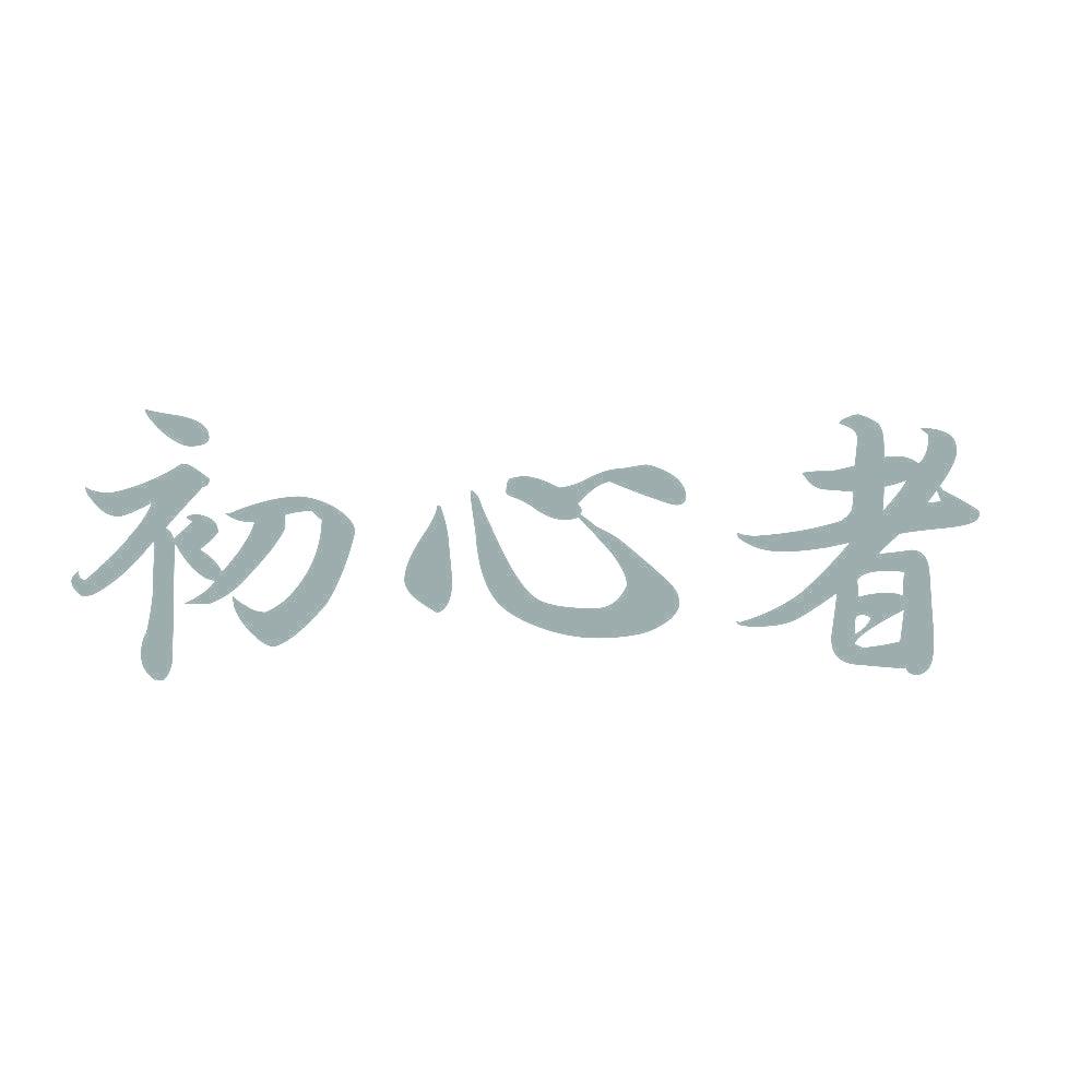 初心者 10