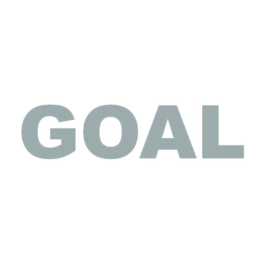 GOAL 10