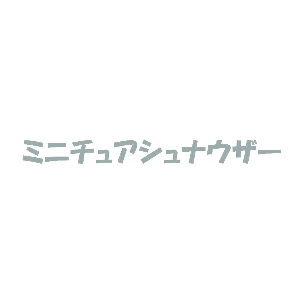 ミニチュアシュナウザー 10