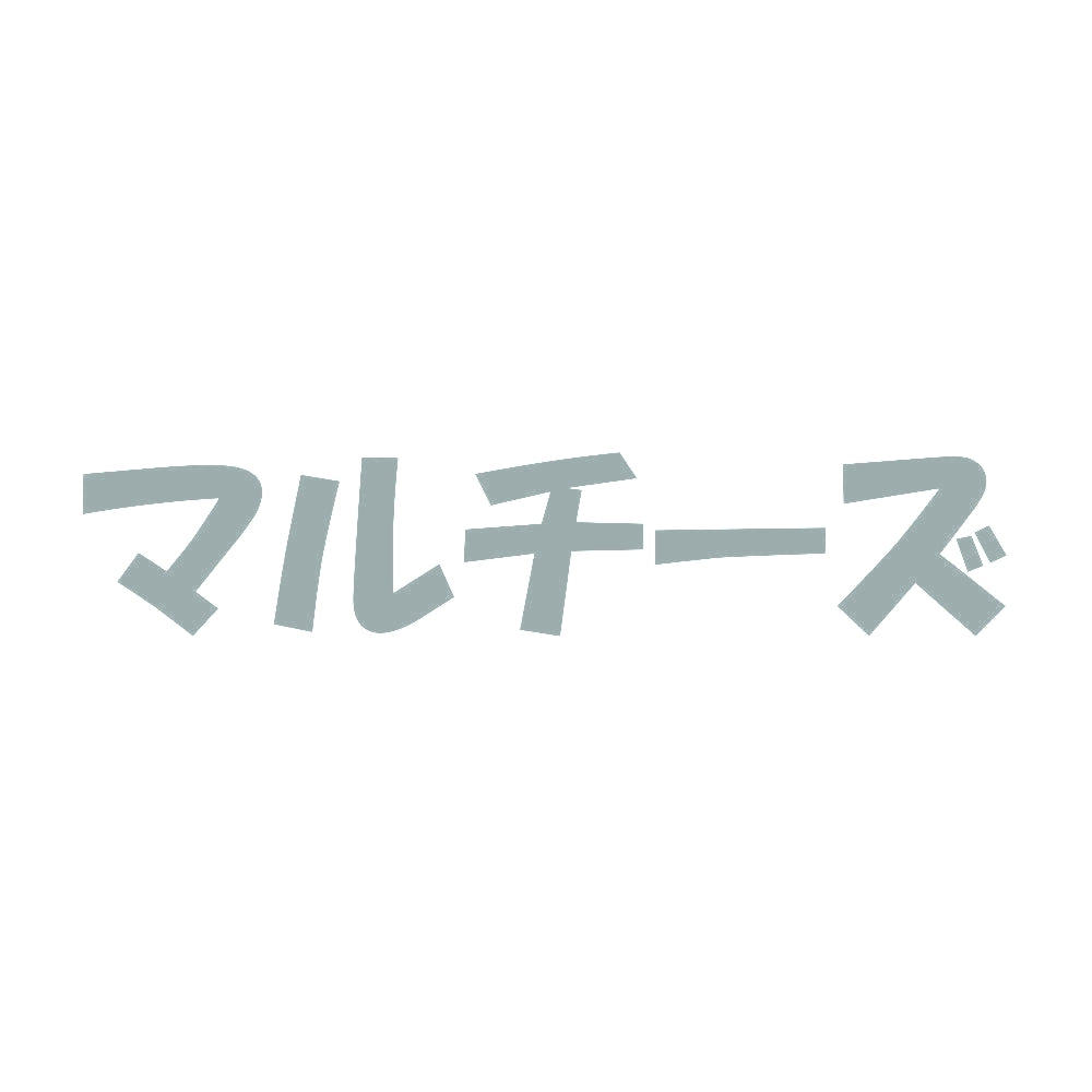 マルチーズ 10