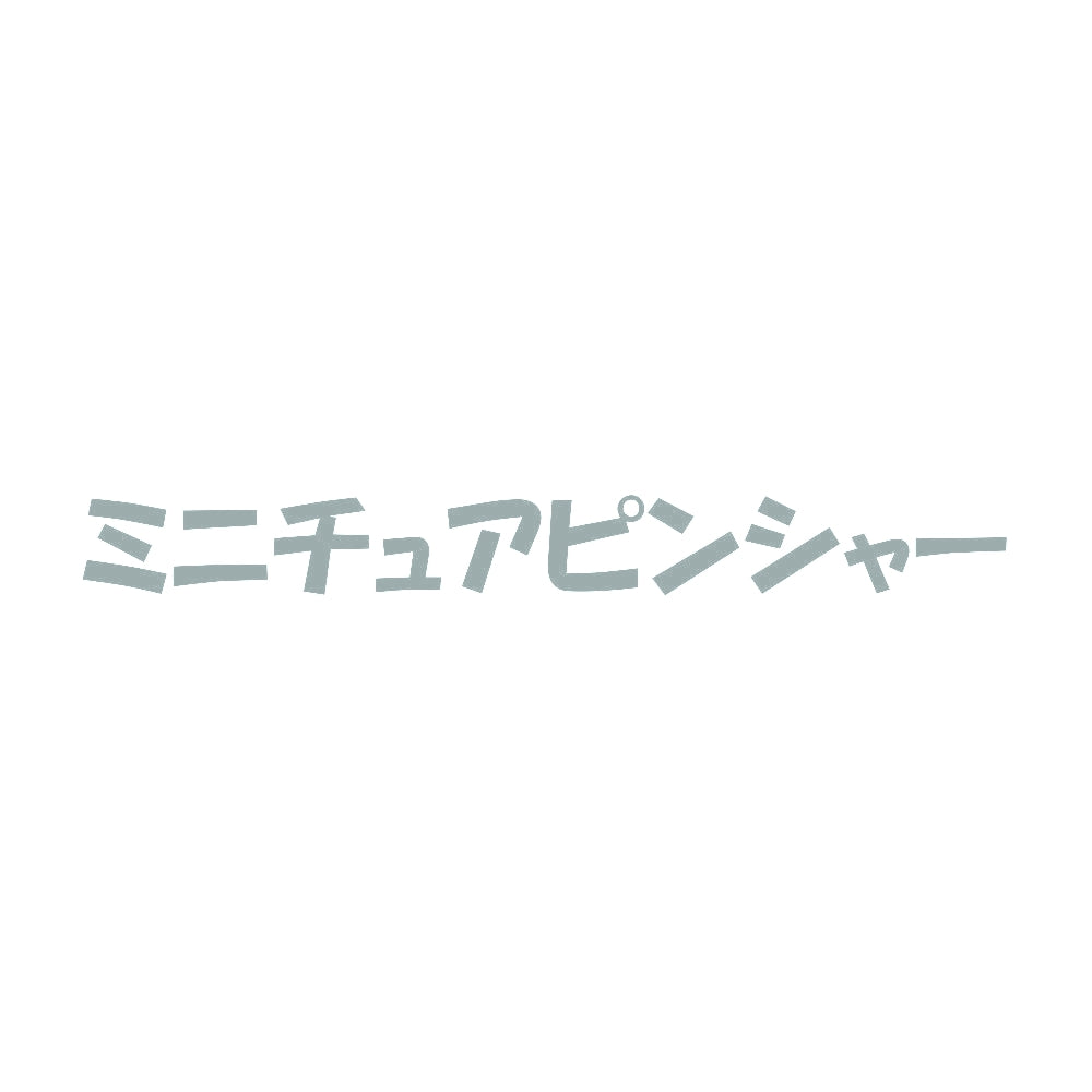 ミニチュアピンシャー 10