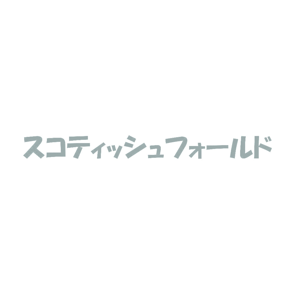 スコティッシュフォールド 10