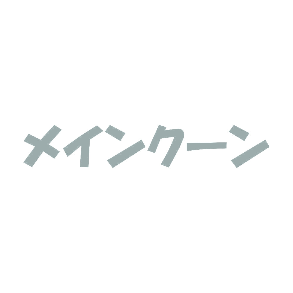 メインクーン 10
