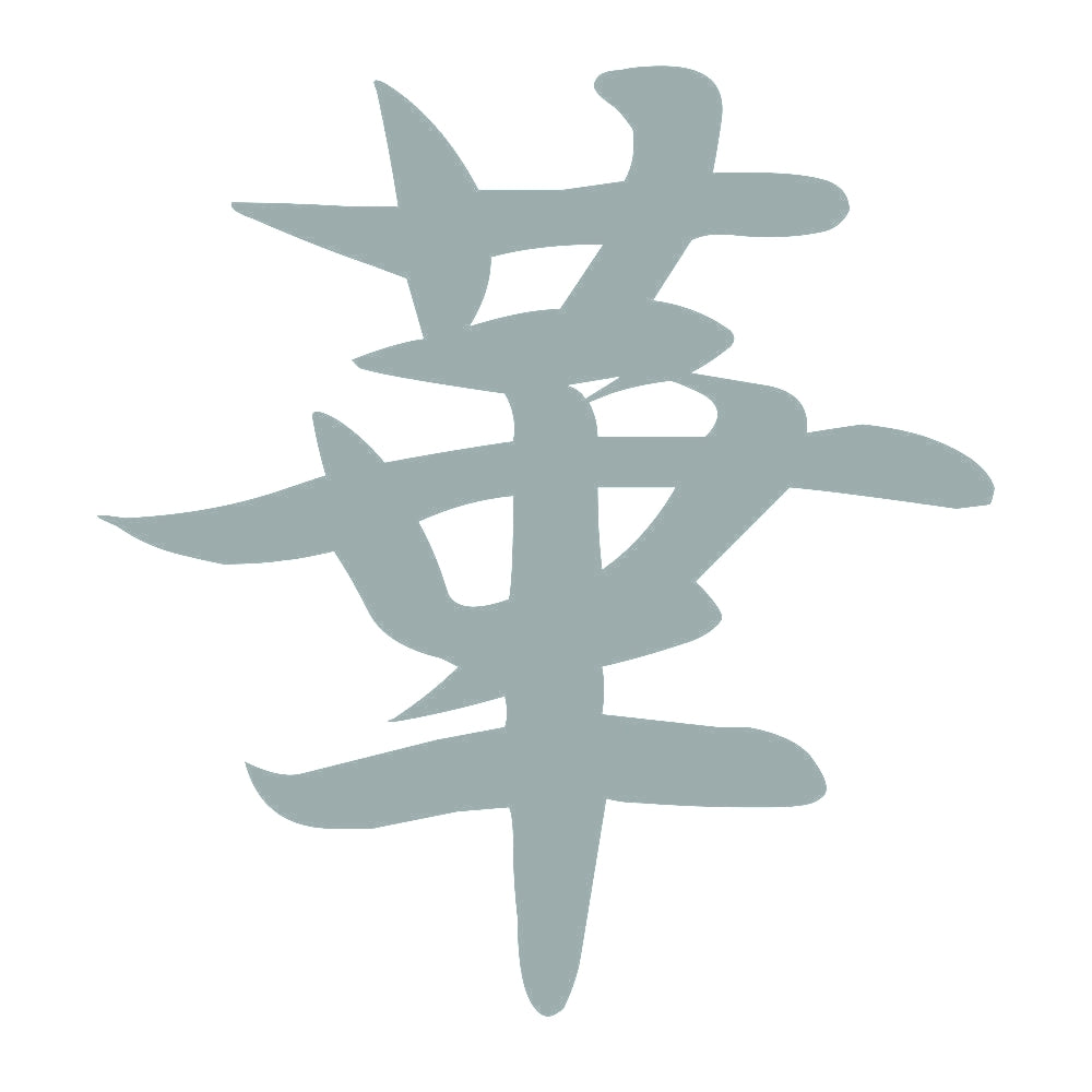 華 10
