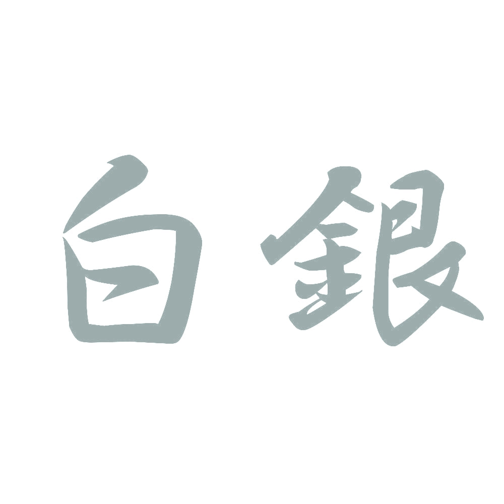白銀 10