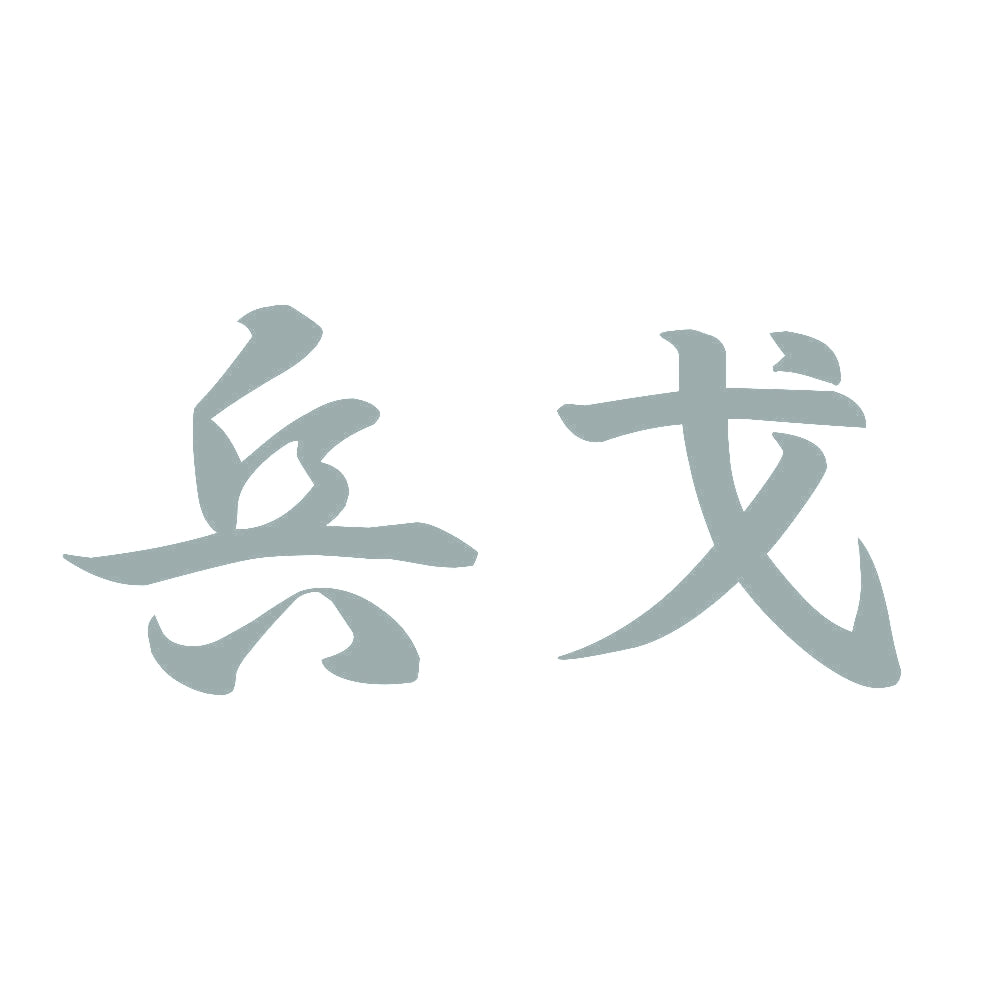 兵戈 10