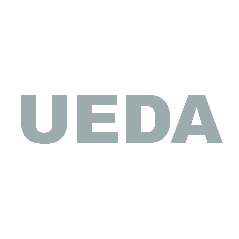 UEDA 10