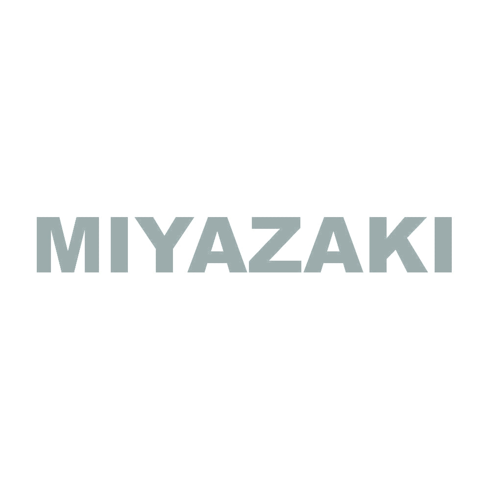 MIYAZAKI 10