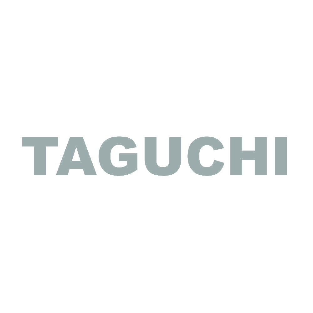 TAGUCHI 10