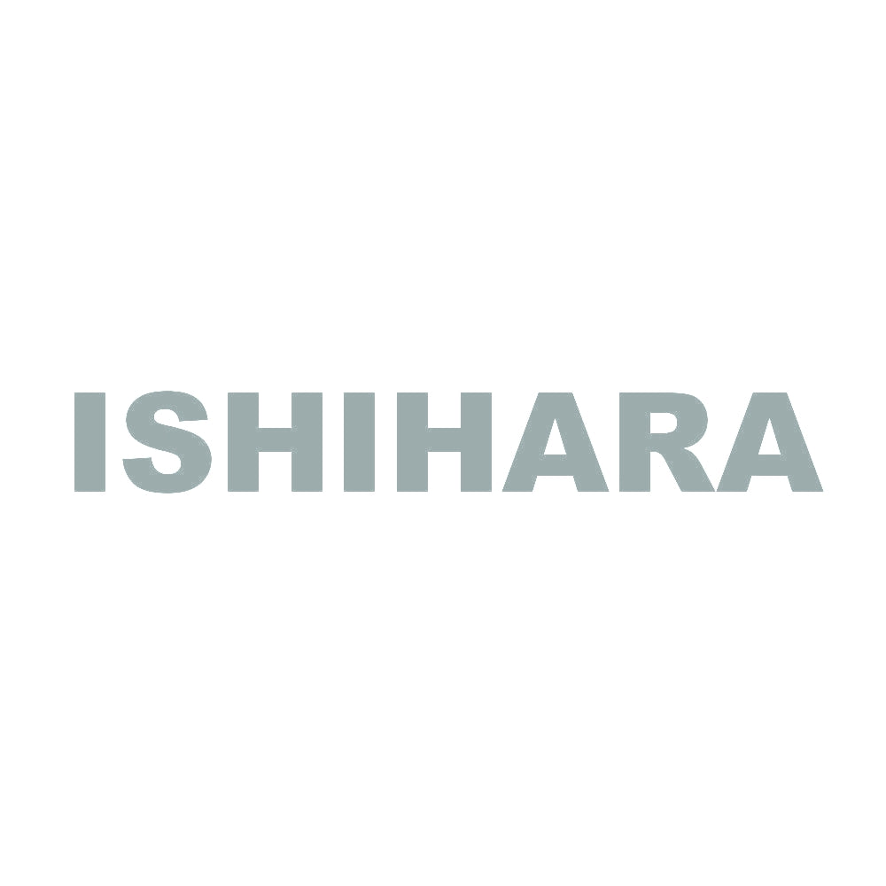 ISHIHARA 10