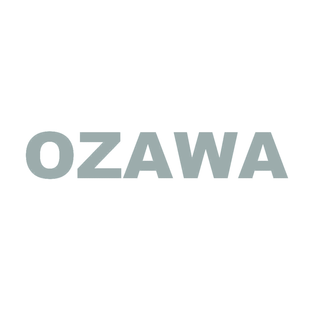 OZAWA 10