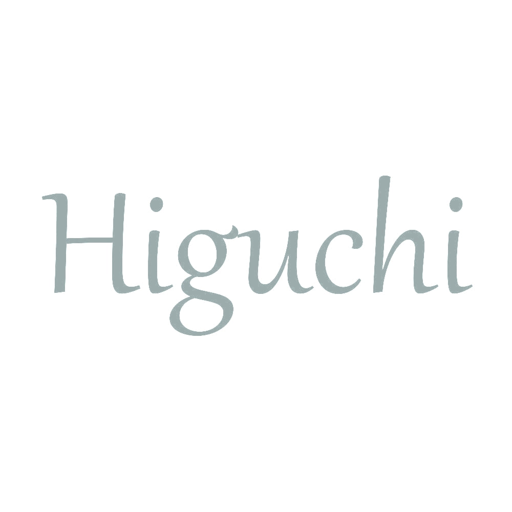 Higuchi 10