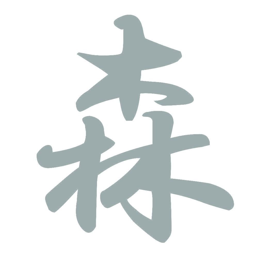 森 10