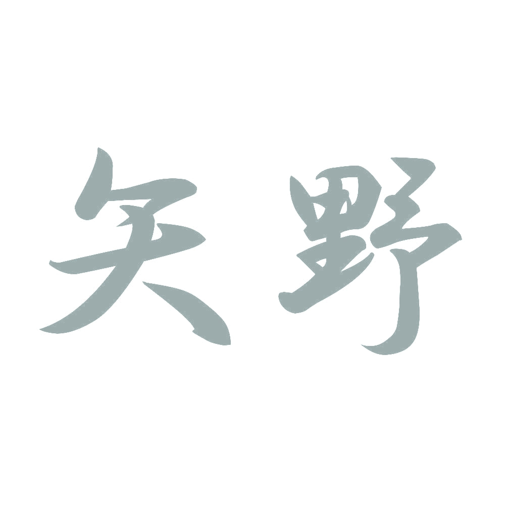 矢野 10