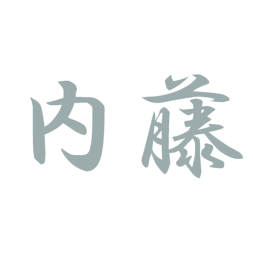 内藤 10