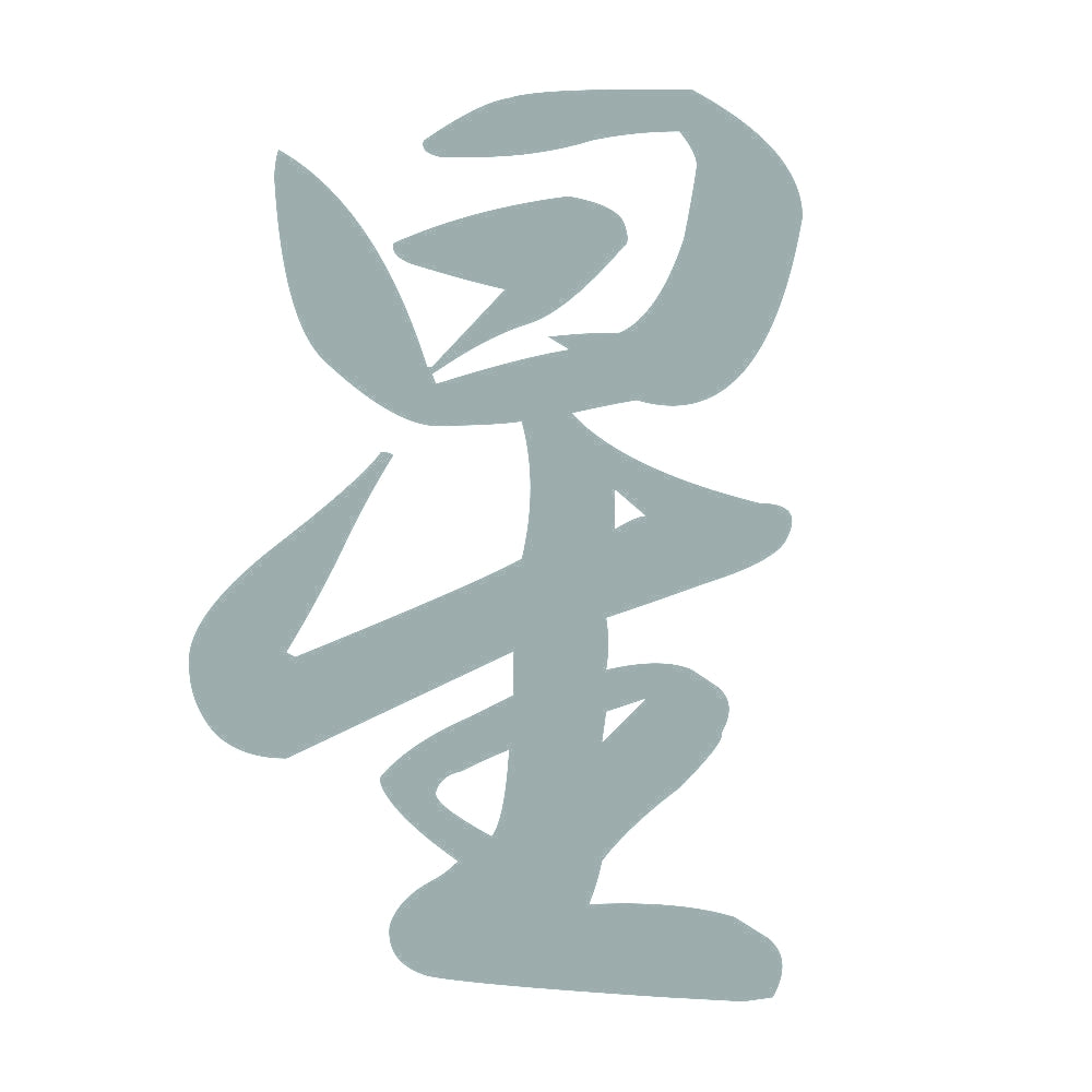 星 10