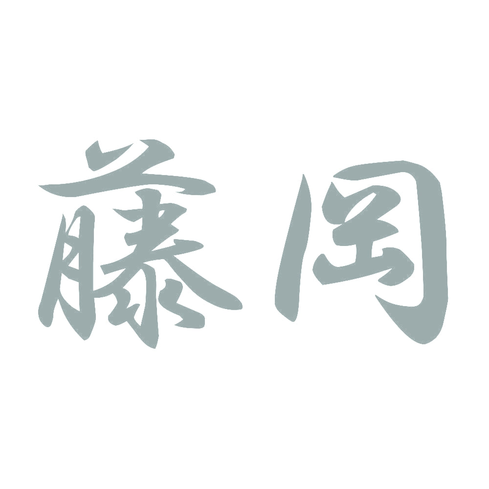 藤岡 10