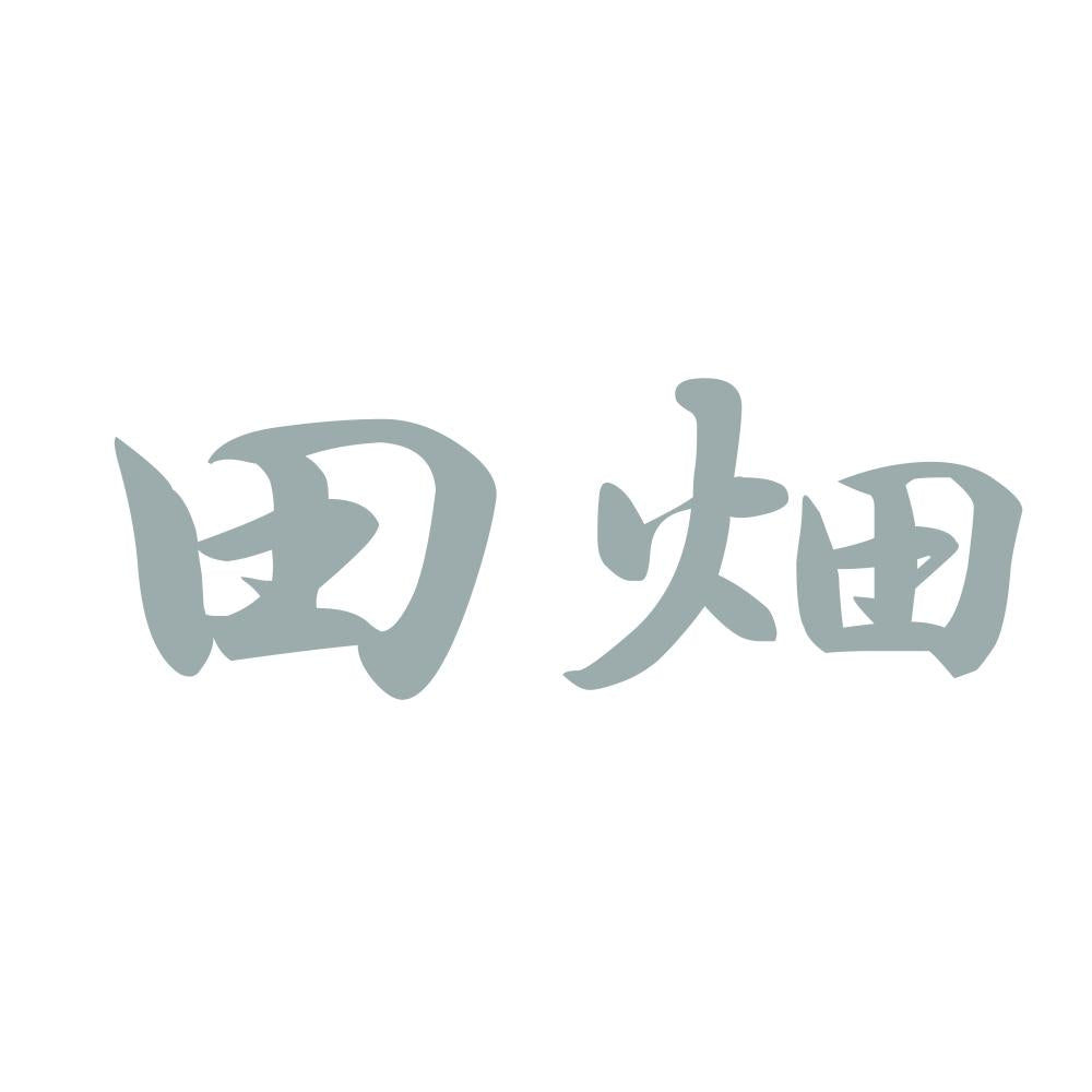 田畑 10