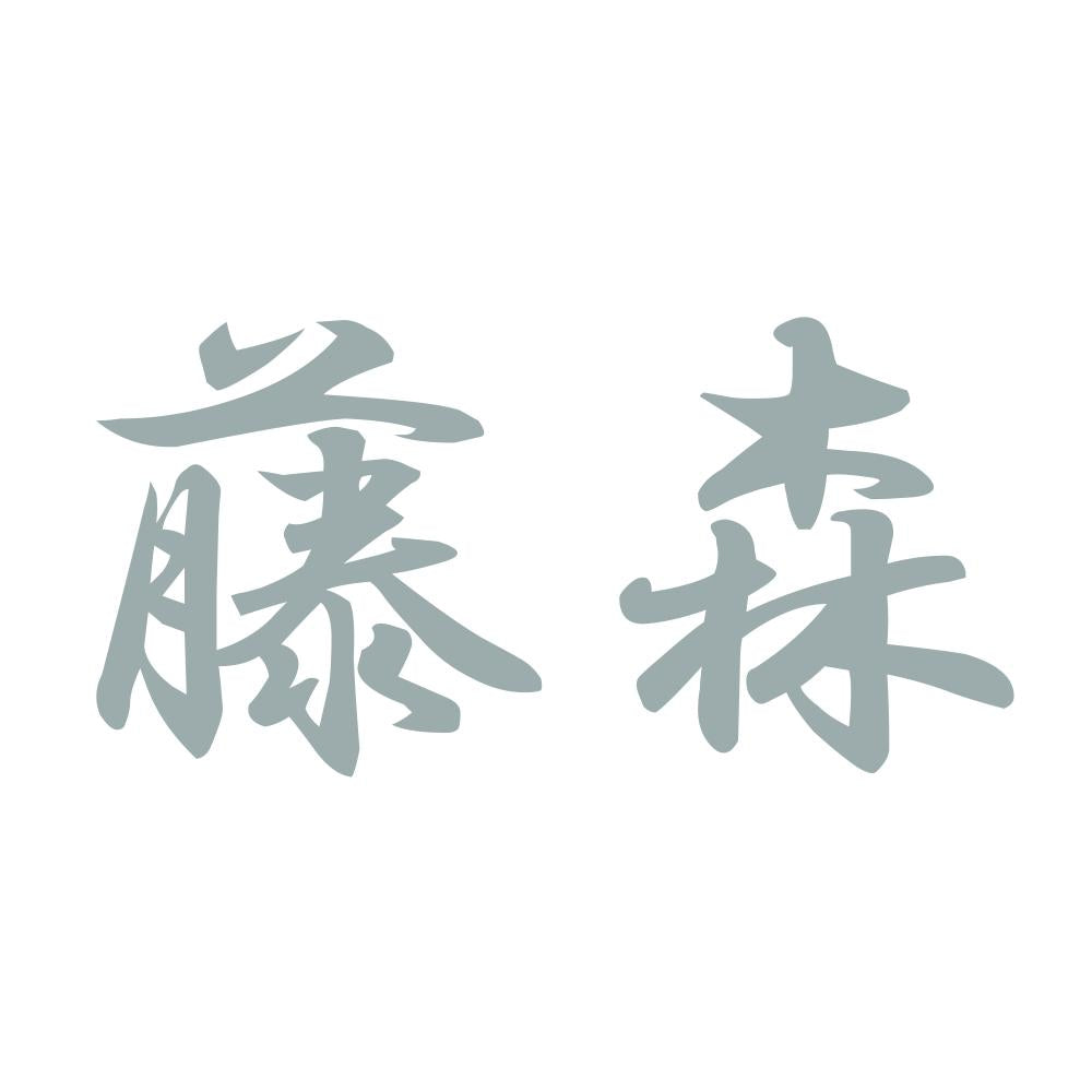 藤森 10