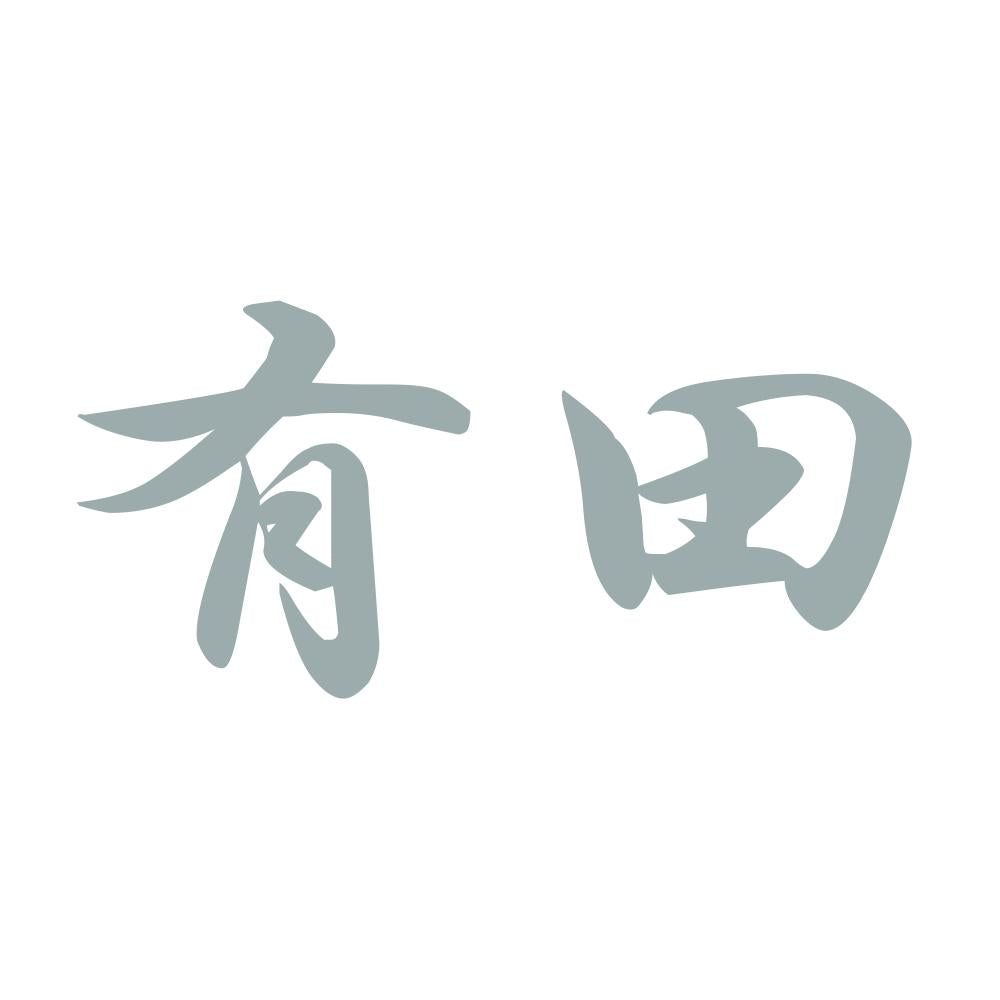 有田 10