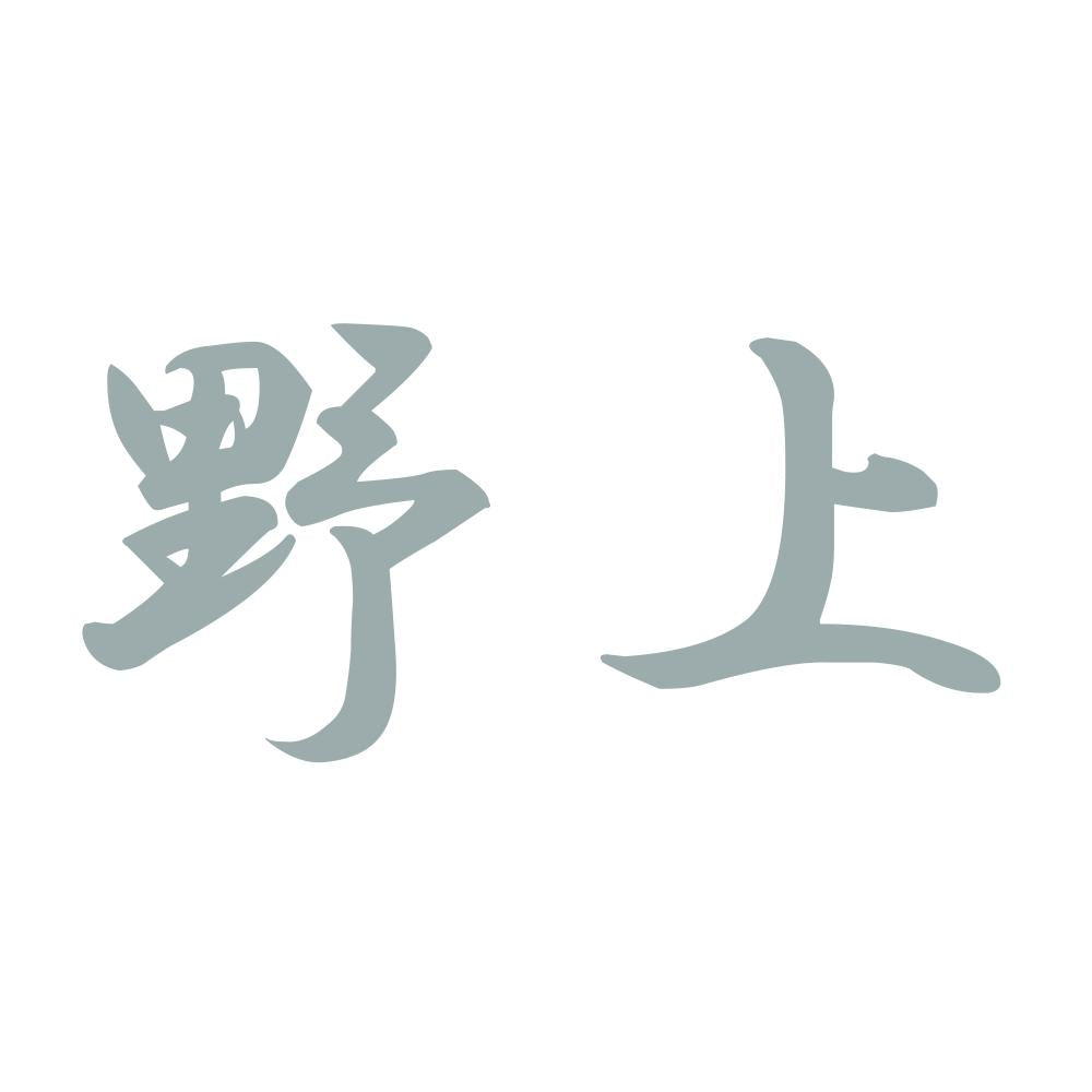 野上 10