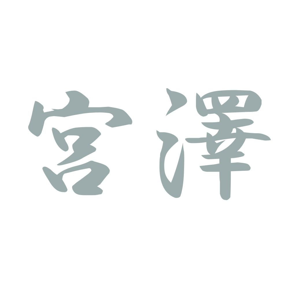 宮澤 10