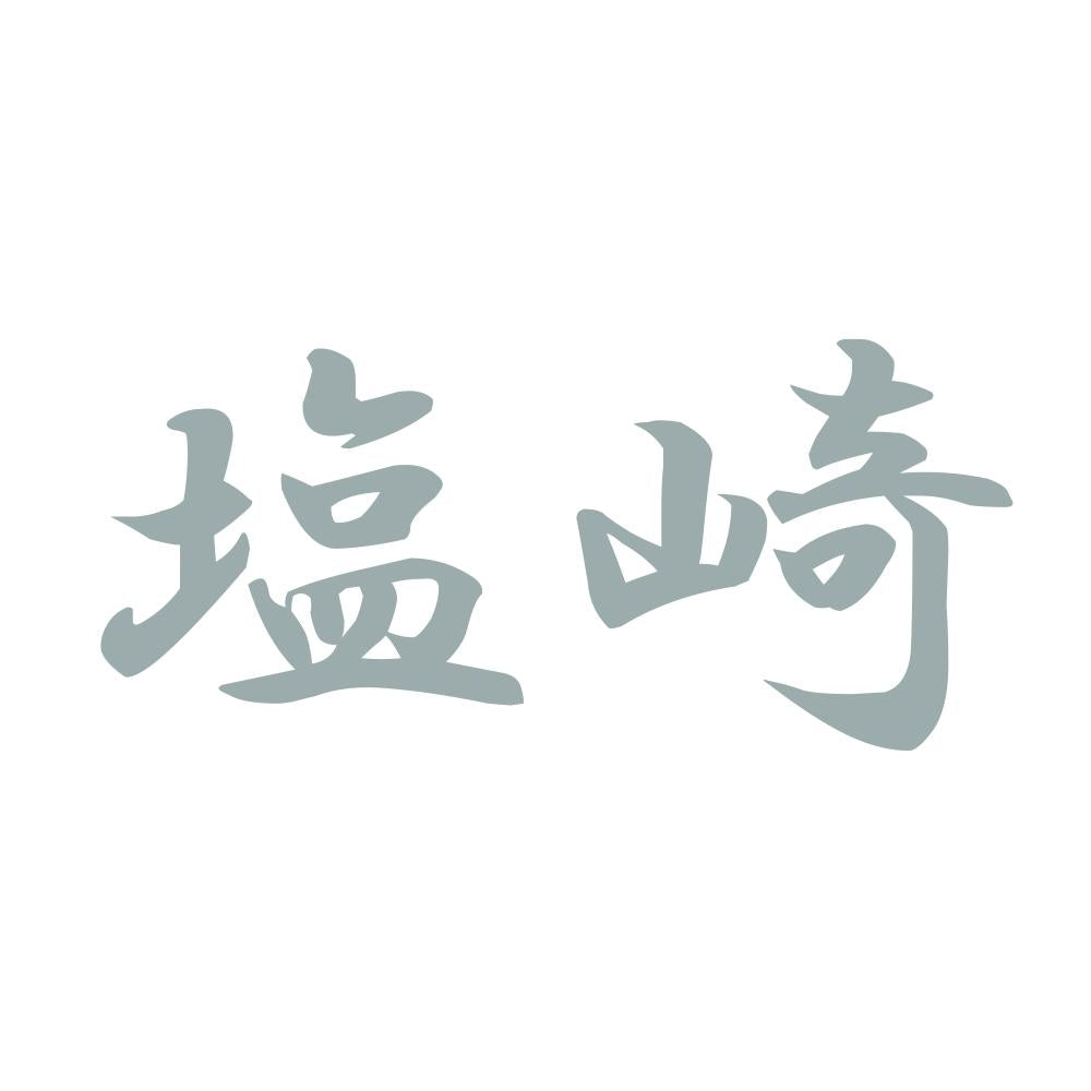 塩崎 10
