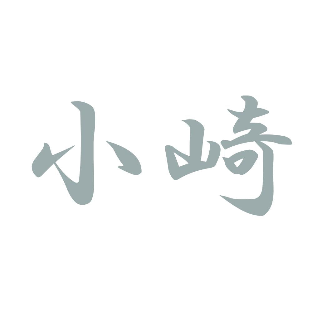 小崎 10