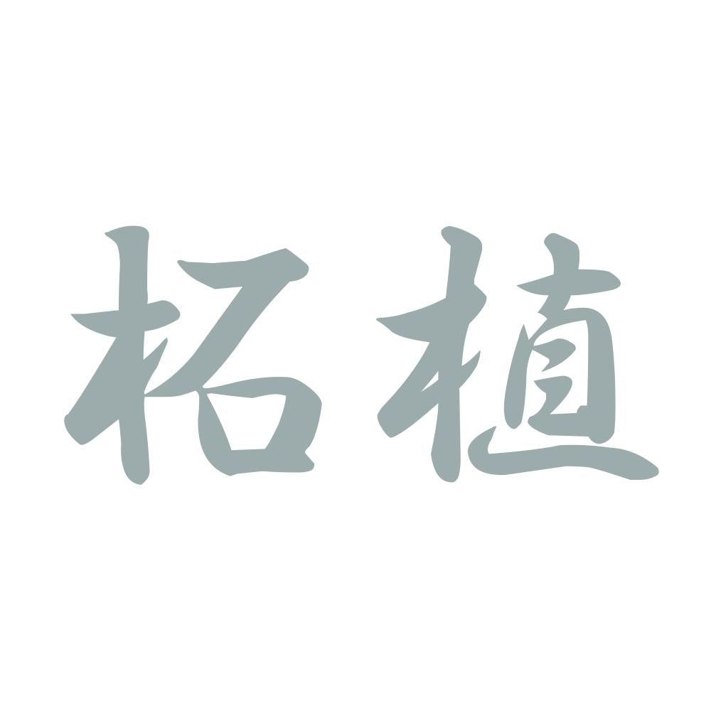 柘植 10